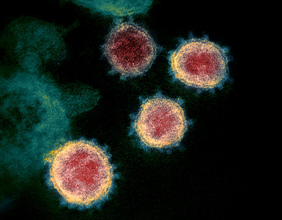 Scanpix Photo / New Coronavirus