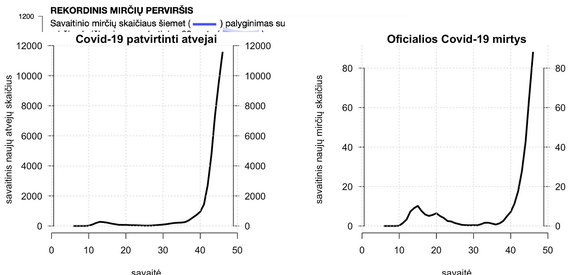 Photo IMPG / Image No. 2. The statistics on cases and deaths confirmed by Covid-19 are officially published (source: Lithuania Statistics).  Weekly fluctuations were mitigated using a moving average.