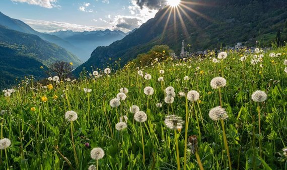 Personal Stock Photo / Swiss Alps