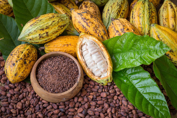 Photo from 123RF.com/Cocoa Beans