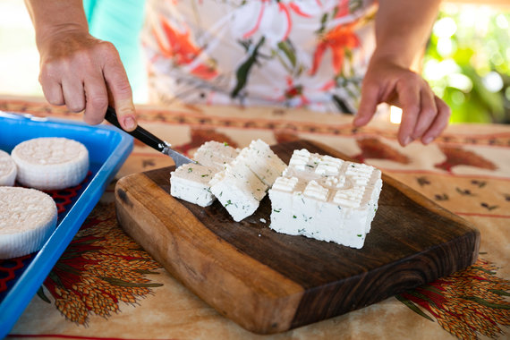 Sigismund Gedvila / 15min photo / Angelica Kedar Cheeses