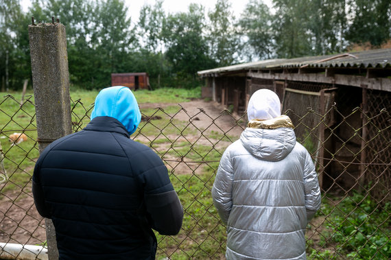 Žygimantas Gedvila / 15min photo / Kennel in Širvintos, which has attracted the attention of animal rights defenders