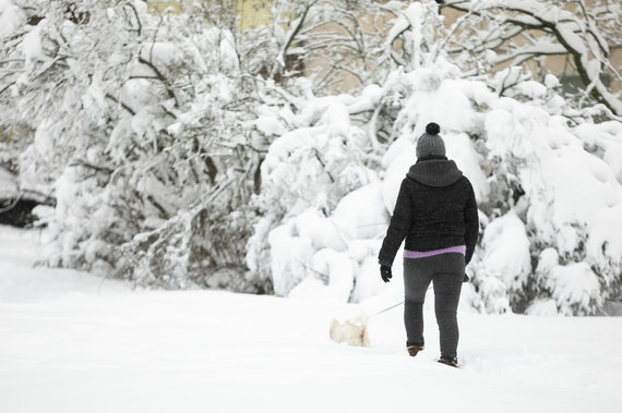 Photo by Sigismund Gedvila / 15min / Winter in Vilnius