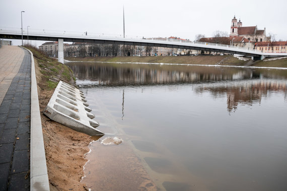 Sigismund Gedvila / 15min photo / Protected shores of the Neris