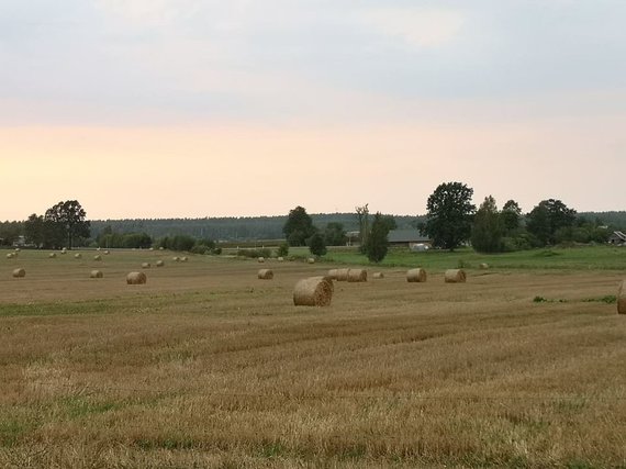 Photo by Jaras Tamašiūnas / Agriculture