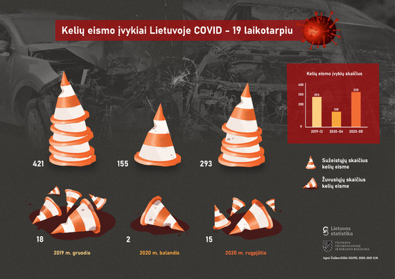 Ugnė Českevičiūtė Infographer / Traffic Accident Statistics