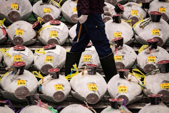 AFP / Scanpix photo / Tuna auction in Japan