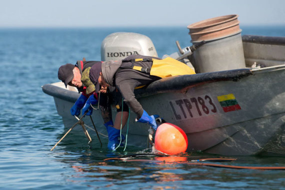 Western Express Photo / Fishermen preparing: a trap with a catch will immediately rise from the water. Depending on the weather, it takes 2 to 4 people to catch the trap catch.