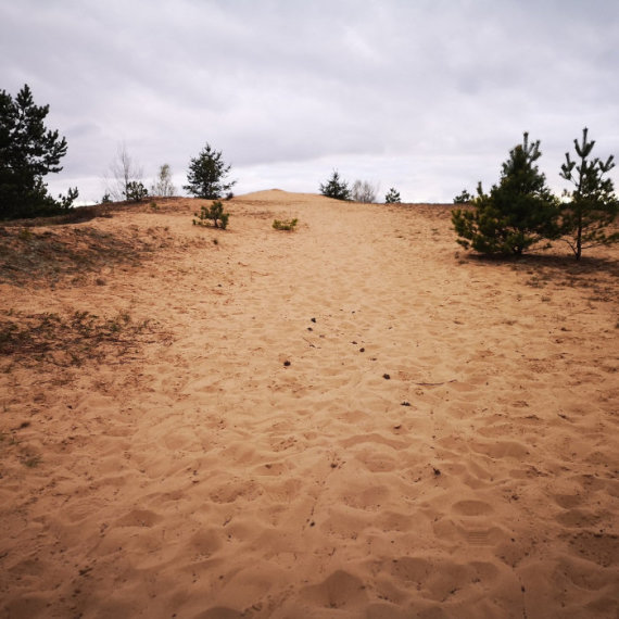 Photo by Sandra Gerdauskaitė / Dumsių, TrenkTuro communication coordinator, where there are dunes in the forest