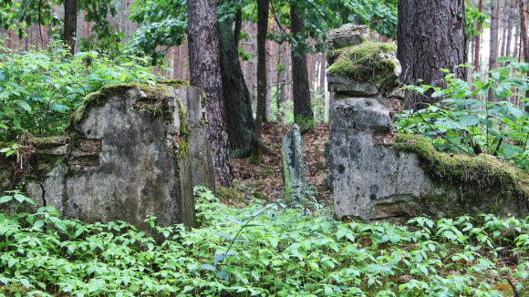 Karolinos Savickytės nuotr./H.Fischelio tėvų antkapiai senosiose žydų kapinėse Merkinėje.