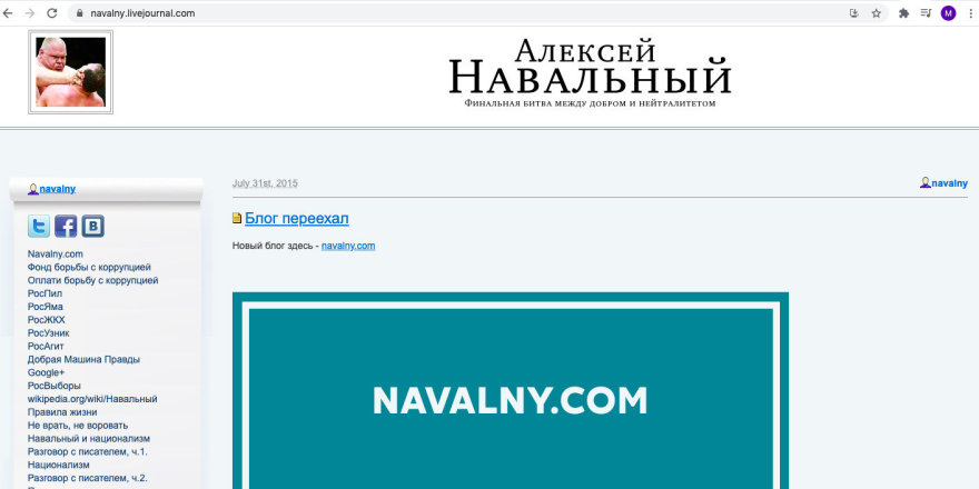 Ekrano nuotr. /A.Navalno blogas „Livejournal“ platformoje 