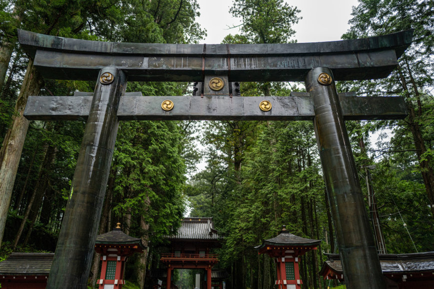 123RF.com nuotr./Šie įspūdingi vartai – įėjimas į Niko šventyklą